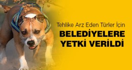 Çevre, Şehircilik ve İklim Değişikliği Bakanlığı Sahipsiz Hayvanlar İçin Genelge Yayınladı