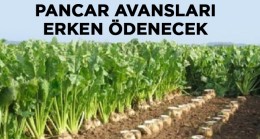 Pancar Üreticisine Erken Avans Müjdesi Geldi