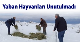 Dağlık Alanda Yaban Hayvanlarının Beslenebilmeleri İçin Doğaya Yem Bırakıldı