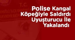 Ereğli’de Polise Köpekle Saldıran Şahıs Uyuşturucu İle Yakalandı