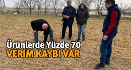 Aşırı Soğuklar Ekili Alanları Etkiledi. Büyük Oranda Verim Kaybı Var