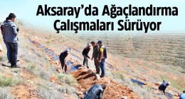 Aksaray, Ağaçlandırma Konusunda Türkiye’ye Örnek Olacak