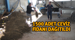 Halkapınar Belediyesinden Üreticilere Fidan Dağıtımı