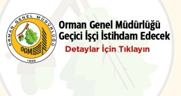 Orman Genel Müdürlüğü 5 Bin Geçici İşçi Alımı Yapacak