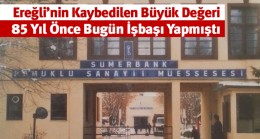 Bir Nesli ve Bir Ülkeyi Kalkındıran Yatırım Modeli: Sümerbank