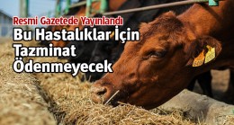 Hayvan Hastalıkları Tazminatlarında Güncelleme Yapıldı