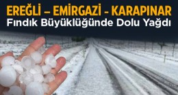 Ereğli, Karapınar ve Emirgazi İlçelerinde Dolu Yağışı Ekili Alanlarda Hasara Neden Oldu