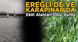 Ereğli ve Karapınar’da Dolu Yağışı Ekili Alanlarda Hasara Neden Oldu