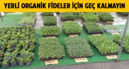 Bahçeler İçin Orijinal ve Garantili Fideler Sizleri Bekliyor