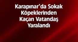 Sokak Köpeklerinden Kaçarken Düşerek Yaralandı