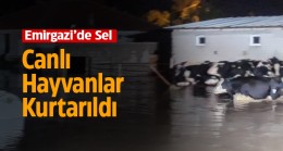 Emirgazi’de Belediye Ekiplerinin Sel İle Yoğun Mücadelesi. Canlı hayvanlar Kurtarıldı