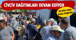 Yumurta Tavukçuluğunun Gelişmesi Projesinde 25 Bin Civciv Daha Dağıtıldı
