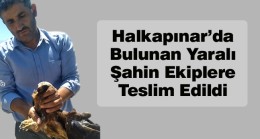 Halkapınar’da Bulunan Yaralı Şahin, Doğa Koruma ve Milli Parklar Müdürlüğüne Teslim Edildi