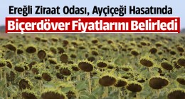 Ayçiçeği Hasat Sezonu Yaklaştı. Ereğli Ziraat Odası Biçim Fiyatlarını Belirledi