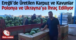 Tarımsal Ürün Yelpazesini Genişleten Ereğli’de Üretilen Kavun ve Karpuzlar Dünyaya İhraç Ediliyor