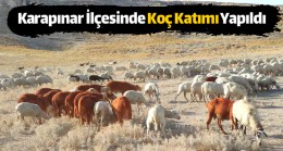 Unutulmaya Yüz Tutmuş Olan Koç Katımı Etkinliği, Karapınar İlçesinde Gerçekleştirildi