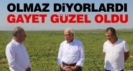 Ereğli Belediyesi ve NEÜ, Türkiye’de Bir İlki Gerçekleştirdi