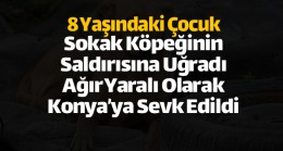 Ereğli’de Sokak Köpeğinin Saldırısına Uğrayan Çocuk Ağır Yaralandı