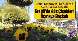 Ereğli Belediyesi Park, Bahçe ve Refüjlerdeki Çalışmalarını Sürdürüyor