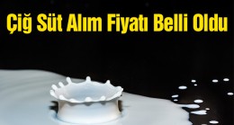 Çiğ Süt Alım Fiyatları Açıklandı. Desteklemeler 2 Buçuk Katına Çıktı