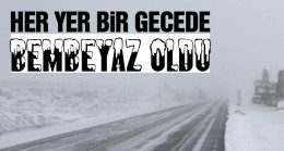 Ortalık Bir Gecede Beyaza Büründü. Ulaşımda Yer Yer Aksamalar Meydana Geldi