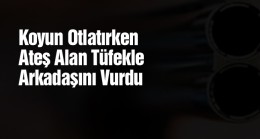 Kurtlara Ateş Ettikten Sonra Tüfeği Verdiği Çoban Arkadaşı Tarafından Vuruldu