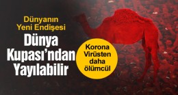 Bilim Adamları, Dünya Kupası’ndan Yayılmasından Korkulan Virüsü Açıkladı