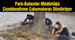 Ereğli Belediyesi Park Bahçeler Müdürlüğü Ekipleri Çalışmalarını Sürdürüyor