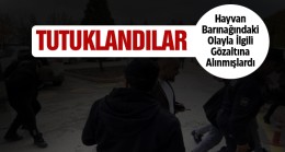 Barınaktaki Köpeğin Kürekle Öldürülmesi Olayında Şüpheli Personeller Tutuklandı