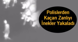 Polisin Kovaladığı Zanlıyı İnekler Kovalayarak Polisin Önüne Getirdi