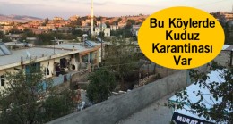 Kuduz vakalarının görüldüğü 3 köy karantinaya alındı.