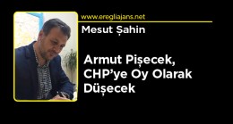 Haziran Seçimlerine 6 Ay Var. Armut Pişecek, CHP’ye Düşecek