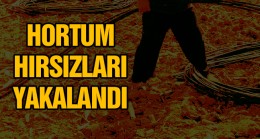 Tarlalara Dadanan Damlama Hortumu Hırsızları Yakalandı