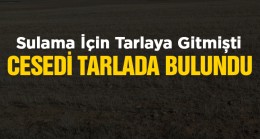 60 Yaşındaki Çiftçi Tarlasında Ölü Bulundu