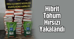 Mısır Tohumu Çalan Zanlı Tutuklandı