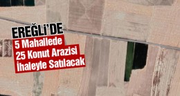 Ereğli’de Mülkiyeti Hazineye Ait Arsalar İhale İle Satışa Çıkacak