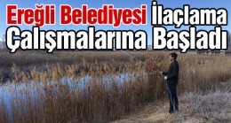 Durgun Su Alanlarında İlaçlama Çalışmaları Başladı