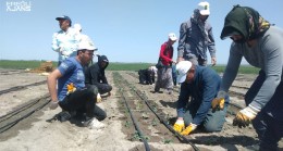 Ereğli Belediyesi Organik Üretim Çalışmalarına Başladı