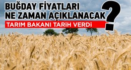 Tarım ve Orman Bakanı Vahit Kirişçi, Buğday Alım Fiyatları Hakkında Konuştu