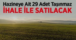 Hazineye Ait 29 Adet Tarım Arazisi İhale Yoluyla Satılacak. Detaylar Haberimizde…