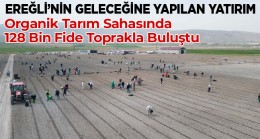 Organik Tarımda Hummalı Çalışma. Yüzlerce Personel İle 128 Bin Fide Toprakla Buluşturuldu