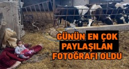 Ereğli Bölgesinde Günün En Çok Paylaşılan Fotoğraflarından Oldu