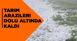 Binlerce Dekar Arazide Dolu Zararı Var