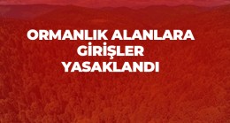 Aydın’da Ormanlık Alanlarla İlgili Valilik Kararı