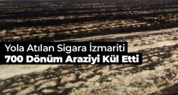 Sigara İzmaritinden Çıkan Yangında 700 Dönüm Buğday Tarlası Küle Döndü