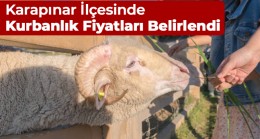 Karapınar İlçesinde Kurbanlık Satış Fiyatları Belirlendi