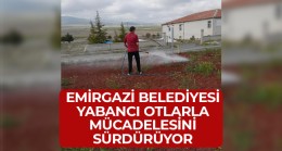 Emirgazi Belediyesi Yabancı Otlara Karşı İlaçlama Çalışmalarını Sürdürüyor