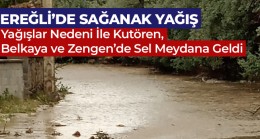 Ereğli ve Çevresinde Etkili Olan Yağışlar Sele Neden Oldu