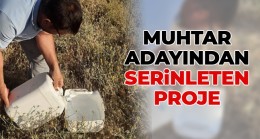 Muhtar Adayı, Yabani Hayvanlar Susuz Kalmasın Diye Kolları Sıvadı