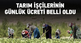 Tarım İşçilerinin 2023 Hasat Sezonu Günlük Ücretleri Belli Oldu